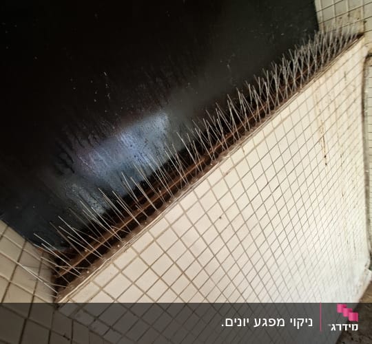 התקנת דוקרנים מנירוסטה להרחקת יונים על אדן חיצוני